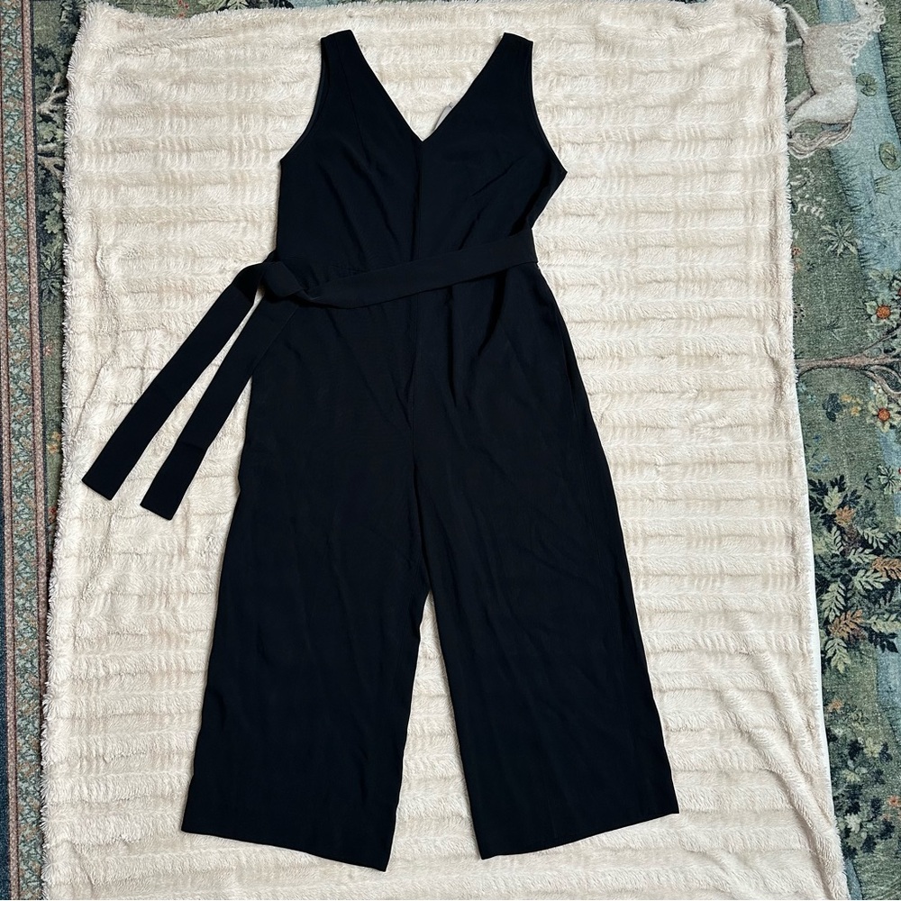 Everlane Jumpsuit, V-Neck Size 10